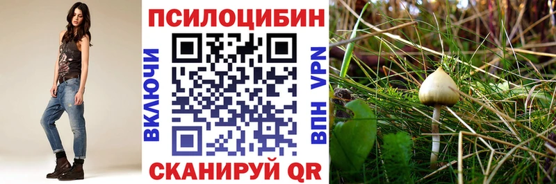 продажа наркотиков  Павлово  Галлюциногенные грибы Psilocybine cubensis 